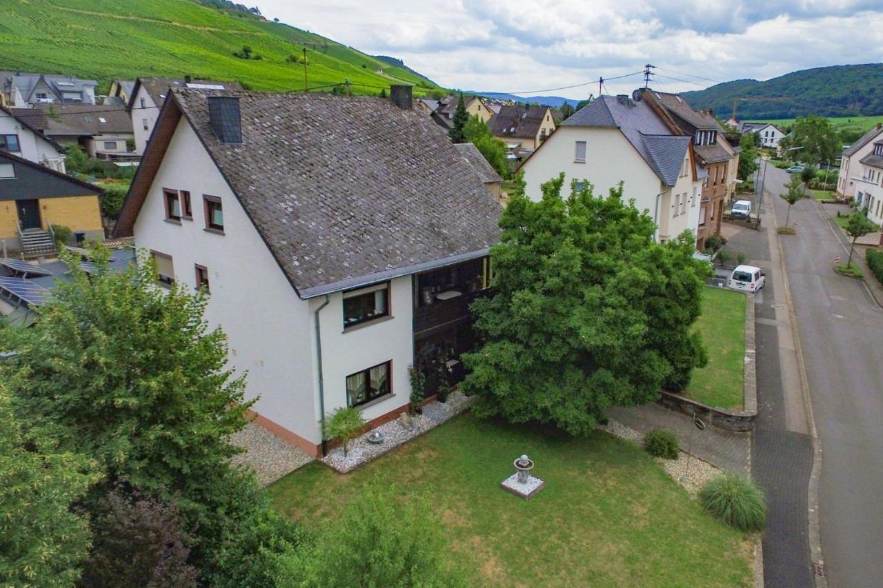 ツェルティンゲン・ラハティグ Moselhaus Bed & Breakfast エクステリア 写真